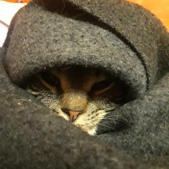 My babies and I 😻 - Picture 2 of 5